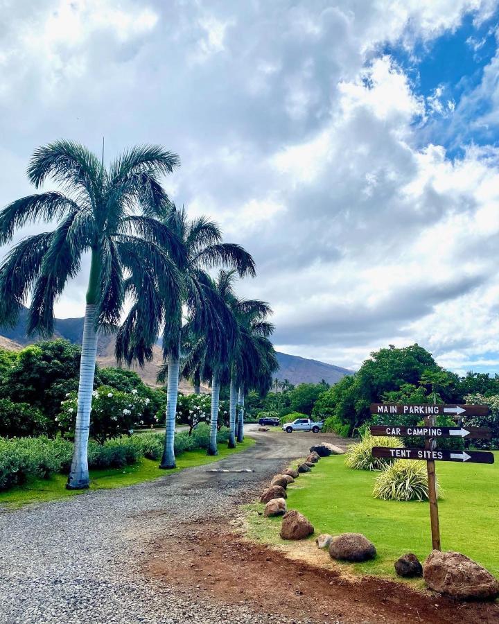 Campsite Go Camp Maui